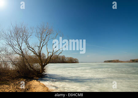 sunny side of the river in the spring Stock Photo