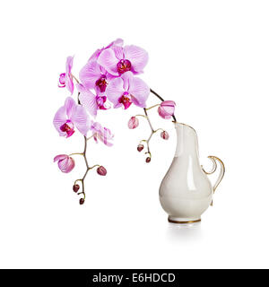 Purple orchid flowers in retro vase isolated on white background Stock Photo