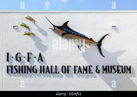Blue Marlin (Makaira nigricans) and Dolphinfish (Coryphaena hippurus) mounted on stone wall, IGFA Fishing Hall Of Fame & Museum. Stock Photo