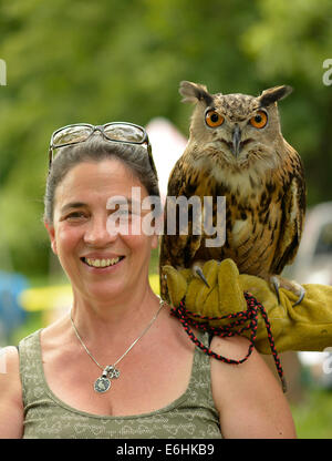 Old Westbury, New York, U.S. - August 23, 2014 - CATHY HORVATH is with AUGIE, a 4-year-old male Eurasian Eagle Owl (Bubo bubo) with large orange eyes, from WINORR, Wildlife in Need of Rescue and Rehabilitation, at the 54th Annual Long Island Scottish Festival and Highland Games, co-hosted by L. I. Scottish Clan MacDuff, at Old Westbury Gardens. WINORR is run by CAthy and her husband Bobby, licensed animal rehabilitators in North Massapequa. Credit:  Ann E Parry/Alamy Live News Stock Photo