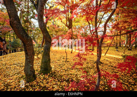 Kyoto, Japan fall foliage at Eikando Temple grounds. Stock Photo