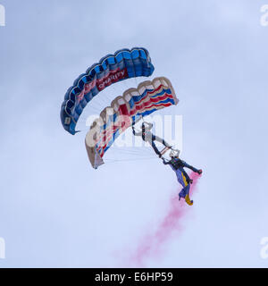 Dunsfold, UK. 23rd Aug, 2014. he Tigers Freefall Parachute Display Team, seen here, are the flagship team for the Princess of Wales's Royal Regiment, whose seniority stems from the Tangier Regiment of 1661 and thus has the distinction of being the senior English Infantry Regiment of the line. Soldiers of the Regiment are recruited from Kent, Surrey, Sussex, London, Hampshire, Isle of Wight and the Channel Islands. Members of The Tigers consist of volunteers from various battalions of the regiment. The Tigers perform displays throughout the country the majority of which would be carried out wit Stock Photo