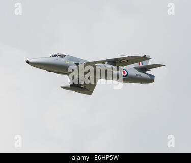 Dunsfold, UK. 23rd Aug, 2014. Dunsfold aerodrome in Surrey holds an annual motor and airshow over the August Bank Holiday weekend.  Here  Hawker Hunter jet aircraft XL577, owned by Midair Squadron displays on Saturday 23rd Credit:  Niall Ferguson/Alamy Live News Stock Photo