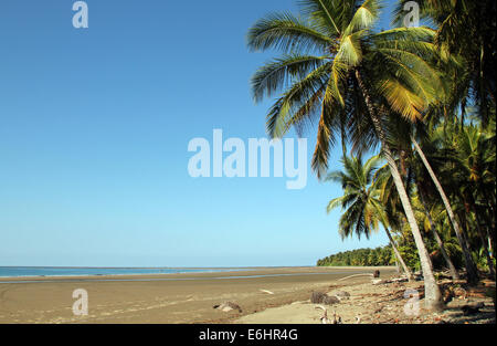 Beach of Marino Ballena National Park, Uvita, Costa Rica Stock Photo