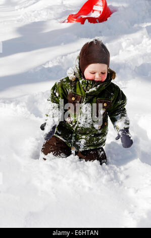 A two year old wading through deep snow in winter in Quebec Stock Photo