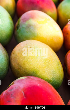 Fresh Mango Stock Photo