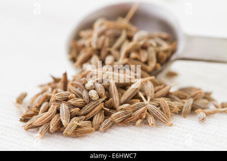 cumin seeds and spoon Stock Photo