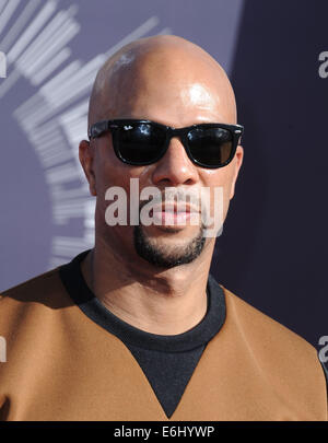 Los Angeles, California, USA. 24th Aug, 2014. Common attending the 2014 MTV Video Music Awards - Arrivals held at The Forum in Inglewood, California on August 24, 2014. 2014 Credit:  D. Long/Globe Photos/ZUMA Wire/Alamy Live News Stock Photo