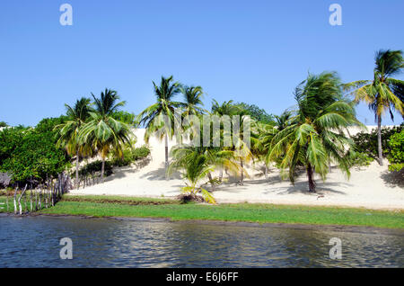 Beautiful palms and beach in Jericoacoara in Brazil Stock Photo