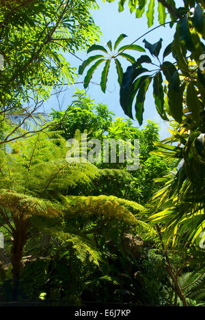 Parker Aviary, San Diego Zoo, Balboa Park, San Diego, California Stock Photo