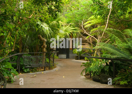 Parker Aviary, San Diego Zoo, Balboa Park, San Diego, California Stock Photo