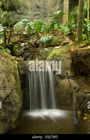 Aviary waterfall, Scripps Aviary,  San Diego Zoo, Balboa Park, San Diego, California Stock Photo