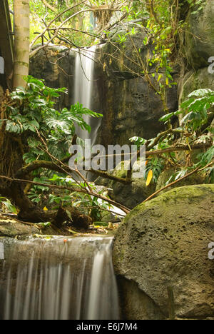 Aviary waterfall, Scripps Aviary,  San Diego Zoo, Balboa Park, San Diego, California Stock Photo