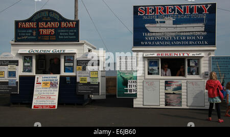Tickets being sold from Serenity sheds at Seahouses, for Farne Island trips, NE England, UK