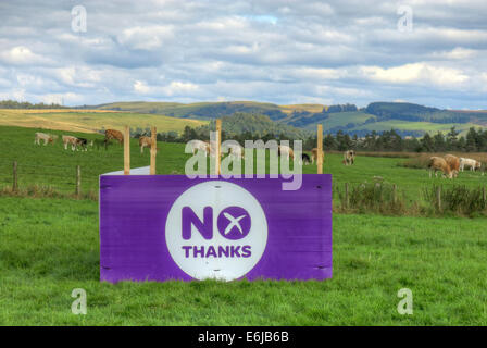 No Thanks Purple Better Together banner in a Scottish Field September 2014 Stock Photo