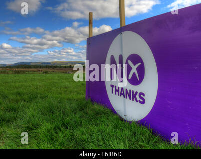 No Thanks Purple Better Together banner in a Scottish Field September 2014 Stock Photo