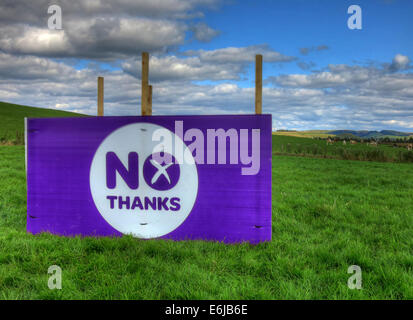 No Thanks Purple Better Together banner in a Scottish Field September 2014 Stock Photo