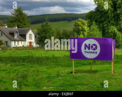 No Thanks Purple Better Together banner in a Scottish Field September 2014 Stock Photo