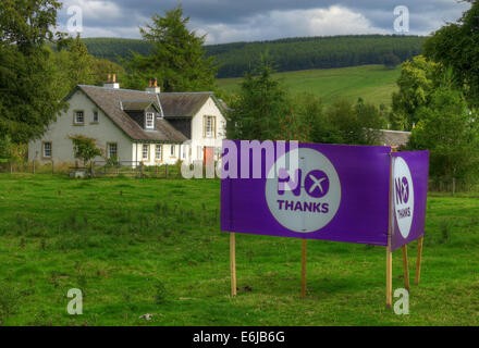 No Thanks Purple Better Together banner in a Scottish Field September 2014 Stock Photo