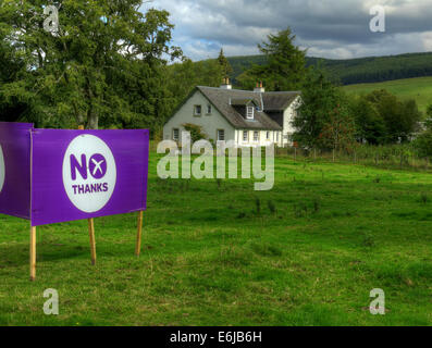 No Thanks Purple Better Together banner in a Scottish Field September 2014 Stock Photo