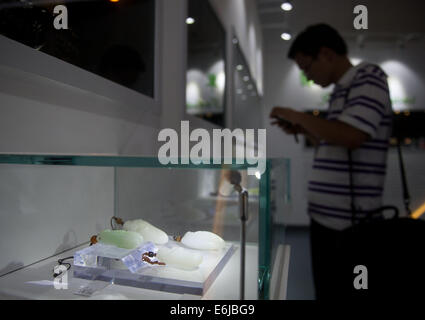 Beijing, China. 25th Aug, 2014. A visitor takes picture of exhibits at the National Base for International Cultural Trade (Beijing) in Beijing, capital of China, Aug. 25, 2014. The National Base for International Cultural Trade opened here on Monday. Credit:  Luo Xiaoguang/Xinhua/Alamy Live News Stock Photo