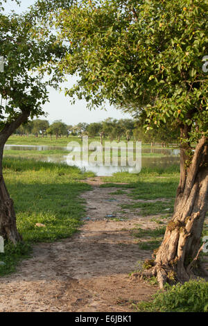Agok River at Agok, Abyei, Sudan / South Sudan Stock Photo - Alamy