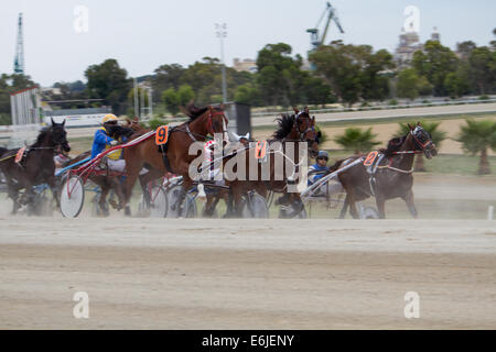 Trotting Marsa race track Valletta Stock Photo