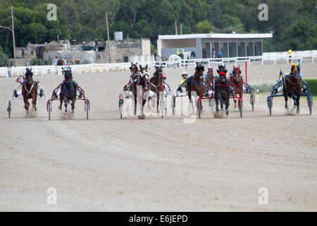 Trotting Marsa race track Valletta Stock Photo