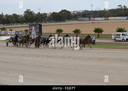 Trotting Marsa race track Valletta Stock Photo