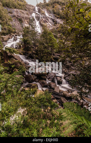 ST COLUMBA FALLS, WATERFALL, ST COLUMBA FALLS STATE RESERVE, PYENGANA VALE, VALLEY, ST HELENS, NORTH EAST TASMANIA, AUSTRALIA Stock Photo