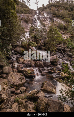 ST COLUMBA FALLS, WATERFALL, ST COLUMBA FALLS STATE RESERVE, PYENGANA VALE, VALLEY, ST HELENS, NORTH EAST TASMANIA, AUSTRALIA Stock Photo