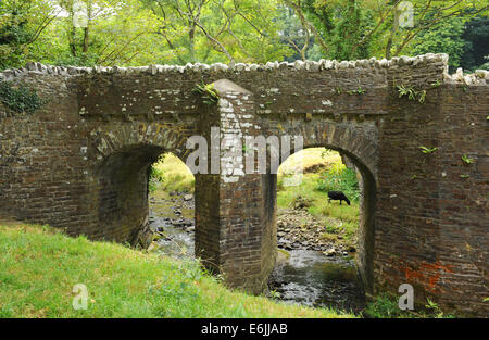 Stone Bridge at Hartland Abbey, between Bideford and Bude,on the Atlantic coast of north Devon, England, UK Stock Photo