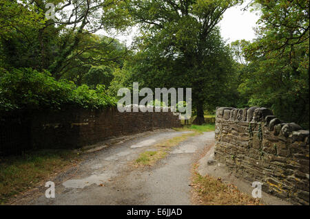 Country Lane Crossing over an old Stone Bridge at Hartland Abbey, between Bideford and Bude,on the Atlantic coast of north Devon, England, UK Stock Photo