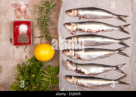 raw fresh sardines with cooking ingredients Stock Photo