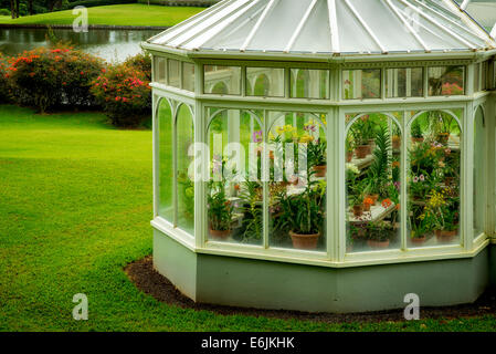 Orchid Greenhouse on grounds of Four Seasons hotel. Lanai, Hawaii Stock Photo