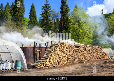 Traditional way of charcoal production in a forest of Bieszczady Mountains, Poland Stock Photo