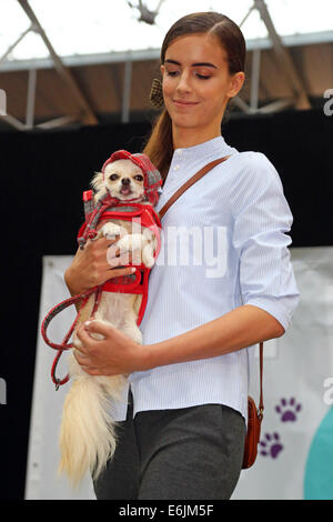 London, UK. 25th August 2014. Chanel at the Old Spitalfields Market Paw Pageant 2014, London. A host of doggy dudes donned couture designer fashions from the queen of canine couture, Lilly Shahravesh of LoveMyDog to fund raise for Battersea Dog & Cats Home in a special doggy fashion show. Each dog was accompanied by models wearing a selection of fashions from NW3, Oliver Bonas, Albam, Jigsaw Menswear, Hackett, Traffic People, Jones and Jones and Shoe Embassy. Credit:  Paul Brown/Alamy Live News Stock Photo