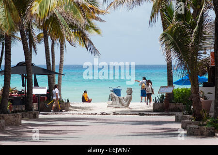 Palm trees on beach Stock Photo