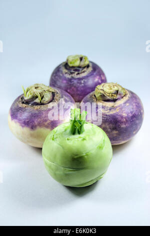 Knolkol Knolkol ,with white background,India Stock Photo - Alamy