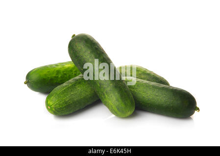 Fresh ripe green raw cucumbers on white background with soft shadow and reflection Stock Photo