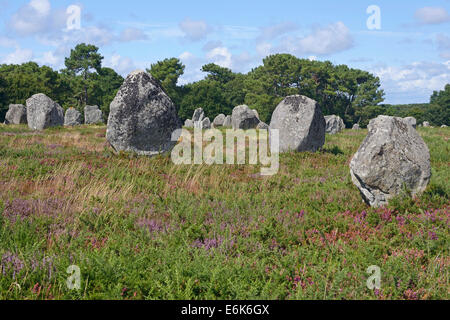 Carnac stones, menhirs near Carnac, Département Morbihan, Brittany, France Stock Photo