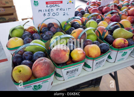 Baskets of fresh local Niagara Ontario fruit for sale at the St. Catharines Farmer's Market. Peaches plums pears and nectarines. Stock Photo