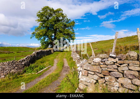 High granite ridge on the North Yorkshire Moors. Stock Photo