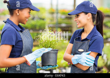 friendly female nursery worker talking to colleague in greenhouse Stock Photo