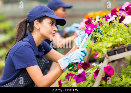 female florist trimming flowers in greenhouse Stock Photo