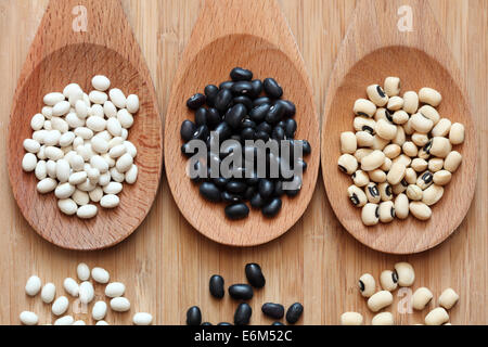 Beans in a wooden spoons: white beans, black beans and black eyed peas. Stock Photo