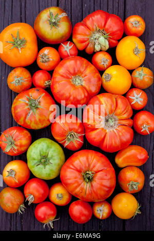 Close-up view of tomatoes Stock Photo