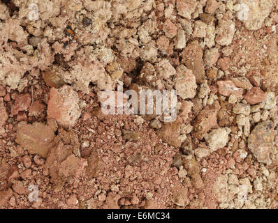 Texture of dry red clay with stones Stock Photo