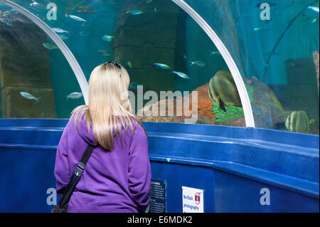 female visitor enjoying a visit to the portsmouth sealife center england uk Stock Photo