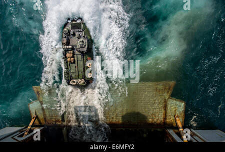 US Marines in an amphibious assault vehicle exit the well deck of the amphibious assault ship USS Bataan during operations August 24, 2014 in the Arabian Sea. Stock Photo